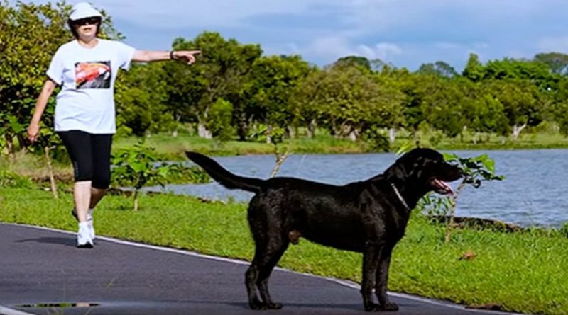 destaque-379857-nego-dilma