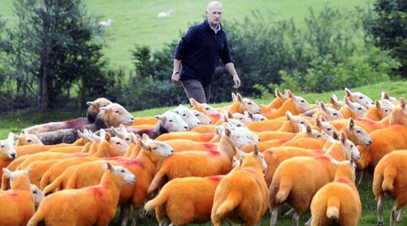 destaque-381396-eefefefqefw