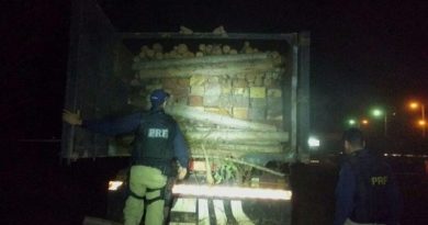 flagrante_de_transporte_de_madeira_ilegal03_12set2016