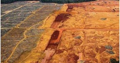 Área-de-exploração-mineral-na-Flona-Saracá-Taquera