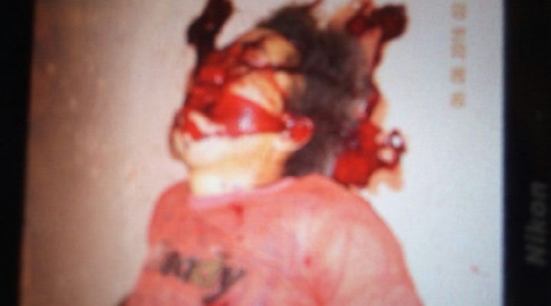 (Foto Julio Ferreira da silva - Divulgação Família)