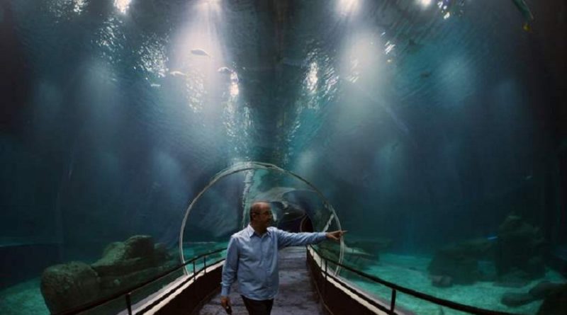 (foto: Vanderlei Almeida/AFP )