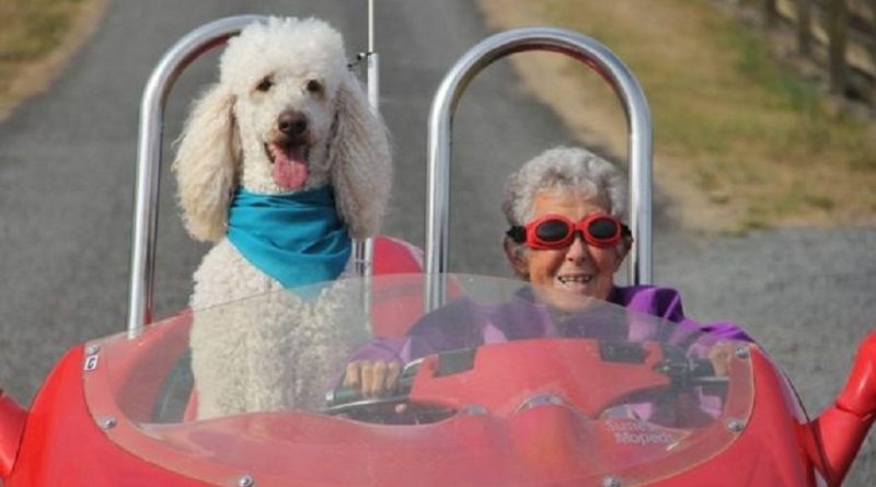 destaque-382081-_91507793_norma2