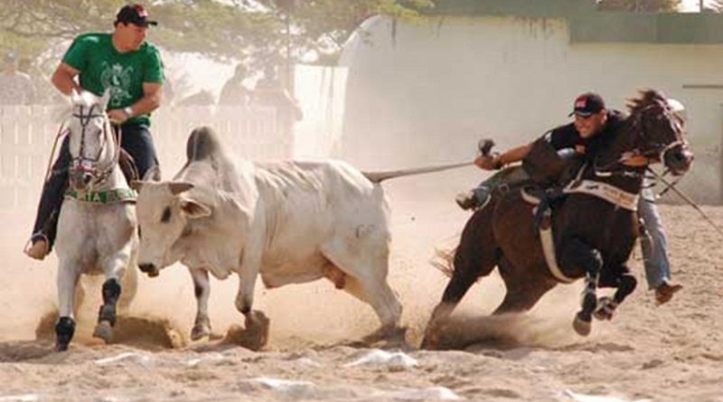 destaque-382598-vaquejada-protestos-brasil-marituba-para