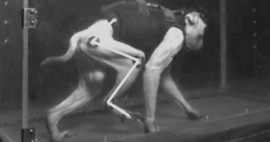 1-macacos-utilizados-na-pesquisa-tinham-apenas-uma-perna-paralisada-credito-epfl