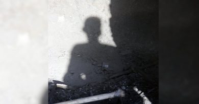 destaque-385805-mosq