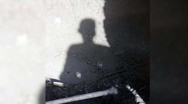 destaque-385805-mosq