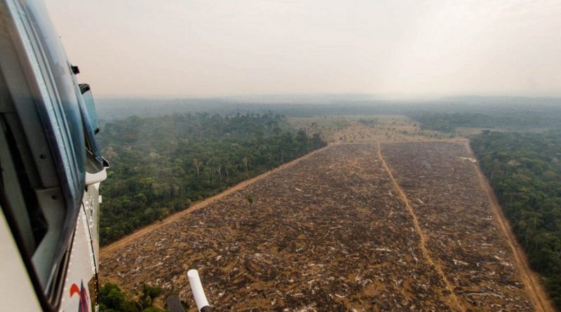Helicóptero do IBAMA sobrevoa área desmatada ilegalmente. Fotos: Marcio Isensee e Sá