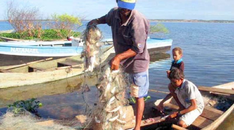Iguatu;CE: Pescador recolhe rede com peixe, no açude Orós, na localidade de Barrocas; período de defeso suspende atividade até 30 de abril das espécies de piracema.