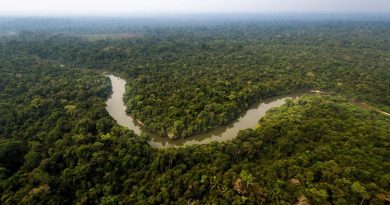 A Terra Indígena Mekrãgnoti, banhada pelo rio Curuá, ocupa 5 milhões de hectares de florestas preservadas.