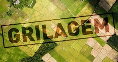 grilagem1