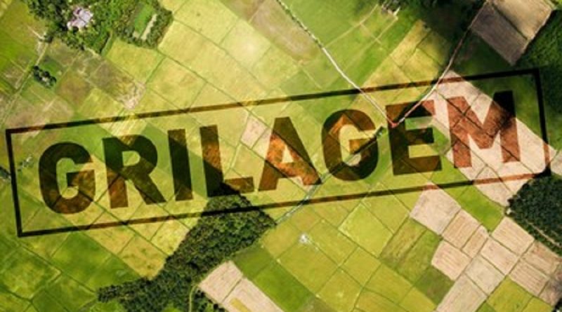 grilagem1