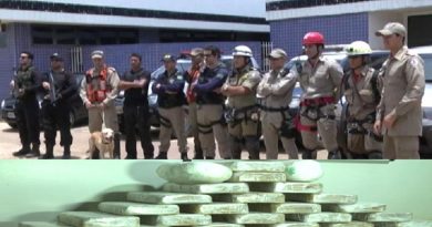 Sequence-07.00_00_00_00.Still001-1