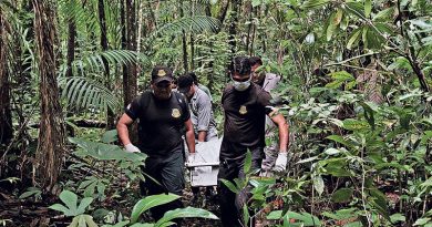 destaque-391781-corpo