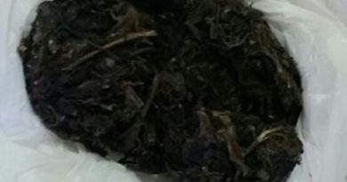 img-20170111-wa0003_Jfz9h6h