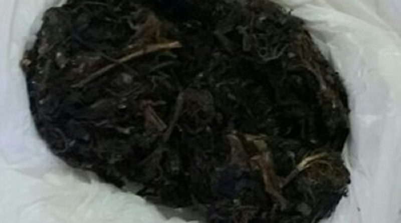 img-20170111-wa0003_Jfz9h6h