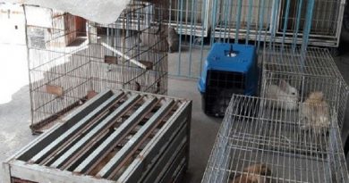 img-20170129-wa0003_-_copia