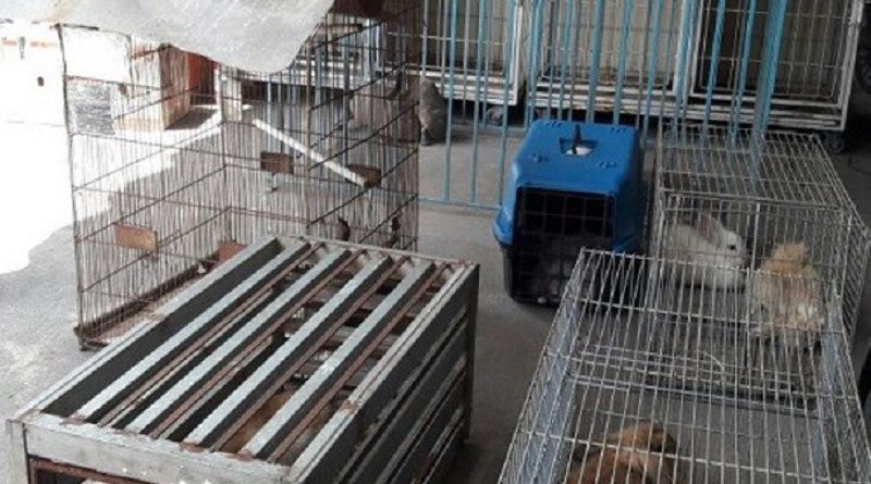 img-20170129-wa0003_-_copia