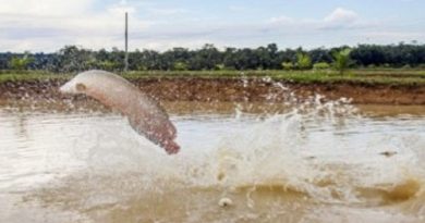 1a58a175afa0070fdf5e914df645ad1c