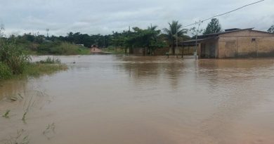 novo progresso alagado