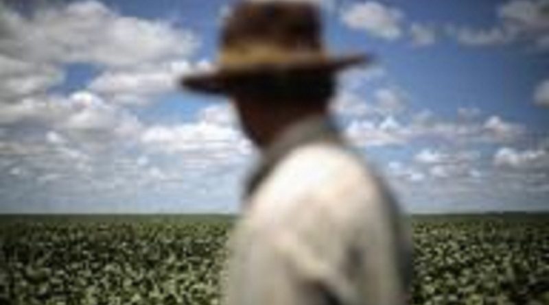 Produtor observa suas lavouras de soja em Barreiras, no Estado da Bahia
06/02/2014
REUTERS/Ueslei Marcelino