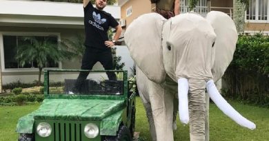 17596559_1841232382869136_3298453957554208768_n