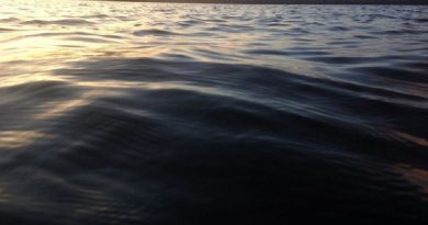 2017-03-22-photo-00000419