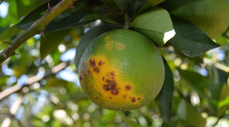 destaque-402214-t34t3