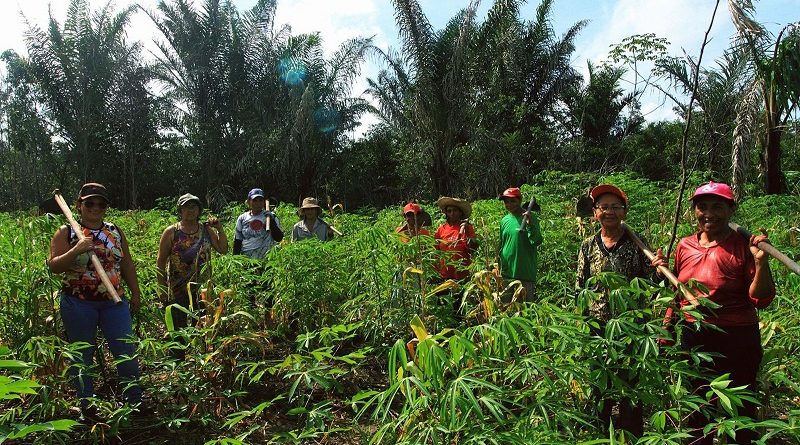 mulheres-agricultoras