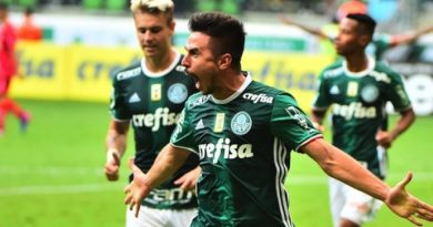 palmeiras