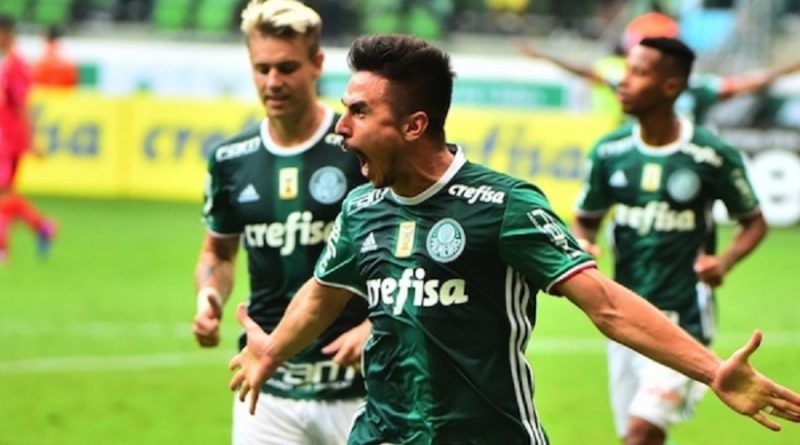 palmeiras