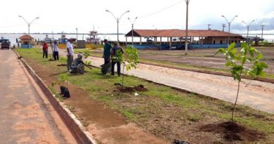 PROJETO-ARBORIZAÇÃO-DER.-768x427