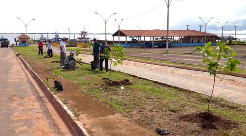 PROJETO-ARBORIZAÇÃO-DER.-768x427