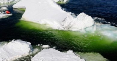 pplware_algas_verdes_artico00-600x415