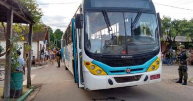 Ônibus-da-empresa-Borges-que-matou-idoso-768x427