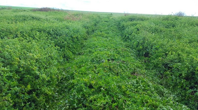 2987432983749827estilosante