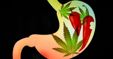 destaque-411029-tn_d703016a3a_maconhapimenta