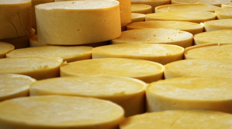 Substância presente em queijos envelhecidos pode prevenir câncer de fígado e fibrose hepática (Foto: Samantha Silva / G1)