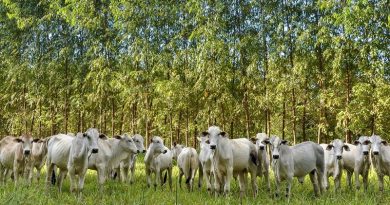 20120321-ilpf-ipameri-fabiano-bastos-286