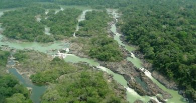 DATA: 13.01.2017 Situada a 1.600 km da capital Belem, entre os municipios de Itaituba e Trairao, o parque ambiental do Jamanxim e um santuario de 1.300 mil hectares onde vivem especies nativas da AmazÃ´nia.   FOTO:Divulgacao ***DIREITOS RESERVADOS. NÃO PUBLICAR SEM AUTORIZAÇÃO DO DETENTOR DOS DIREITOS AUTORAIS E DE IMAGEM***