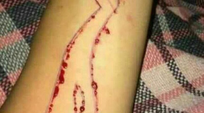 cad91cb0-1151-488f-8c28-a0767ec3b162