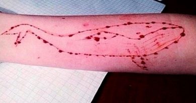 destaque-428910-23r23r