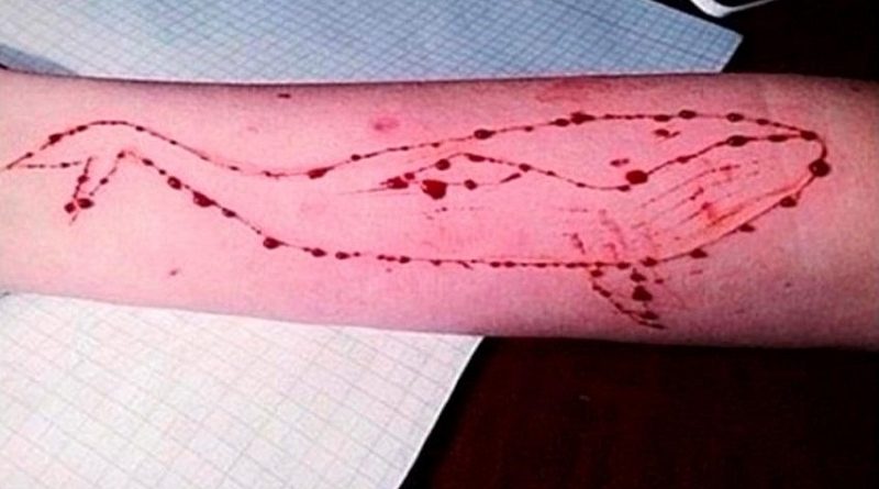 destaque-428910-23r23r