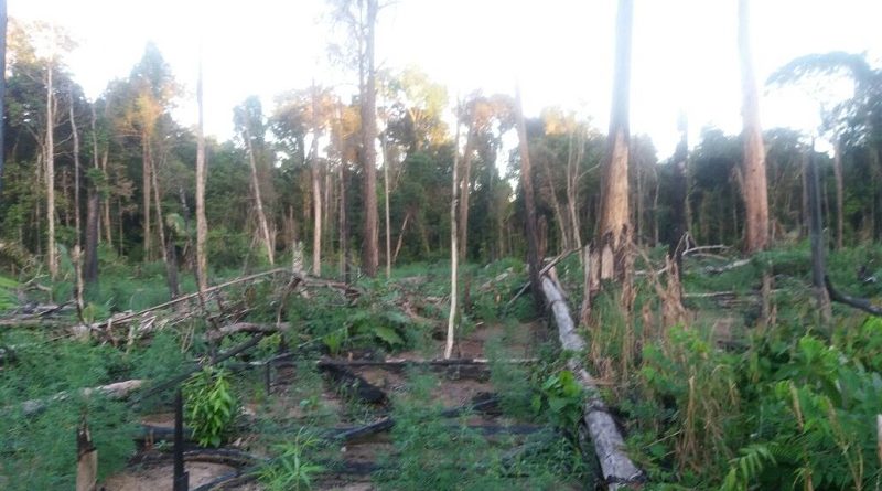 e513c4b6-d44b-425a-a170-8571efe3947c