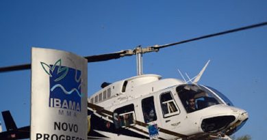 ibama novo Progresso1