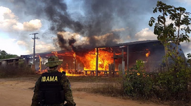 Serrraria destruida por falta de licença em Moraes Almeida (Foto Divulgação Ibama)