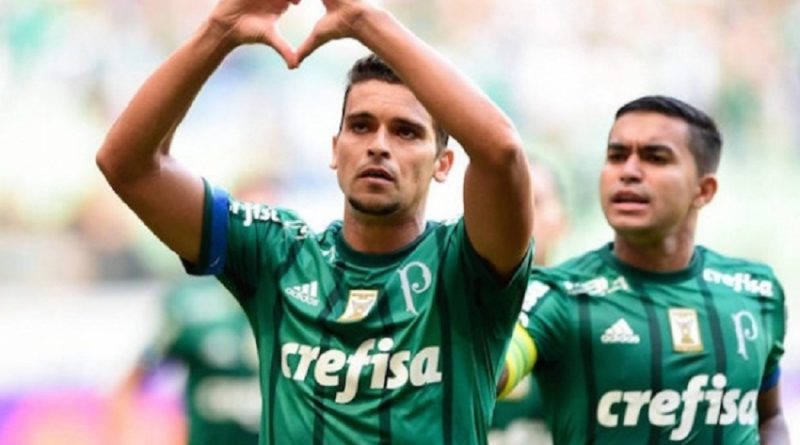 palmeiras