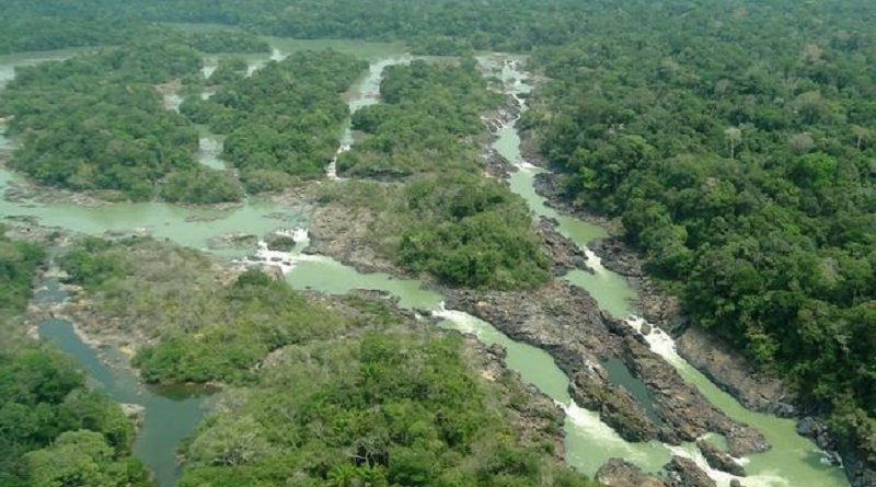 DATA: 13.01.2017 Situada a 1.600 km da capital Belem, entre os municipios de Itaituba e Trairao, o parque ambiental do Jamanxim e um santuario de 1.300 mil hectares onde vivem especies nativas da AmazÃ´nia.   FOTO:Divulgacao ***DIREITOS RESERVADOS. NÃO PUBLICAR SEM AUTORIZAÇÃO DO DETENTOR DOS DIREITOS AUTORAIS E DE IMAGEM***