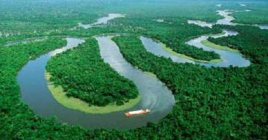 size_960_16_9_amazonas61