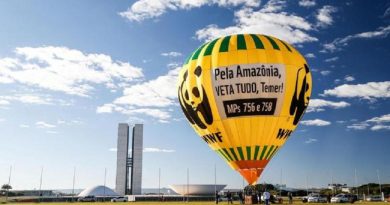 Balão de ar quente da ONG WWF Brasil foi inflado na Esplanada dos Ministérios, em Brasília, em protesto contra MPs 756 e 758 Foto: Marco Antônio Teixeira / WWF Brasil